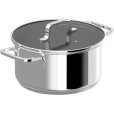 Topf mit Deckel 3 L/20 cm