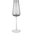 Champagnerglas 2er Set. 20 cl