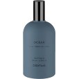 Raumspray 100 ml