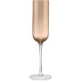 Champagnerglas 4er Set. 23 cl