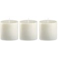 Winter Kerzen Refill 3er Set. H6 cm