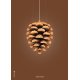 The Pinecone Poster 70x100 cm, Braun