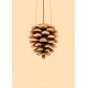 The Pinecone Poster 50x70 cm, Sandfarben