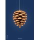 The Pinecone Poster 50x70 cm, Dunkelblau