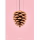 The Pinecone Poster 70x100 cm, Rosa