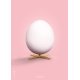 The Egg Poster 70x100 cm, Rosa