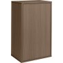 Dark Oak