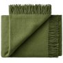 Cypress Green