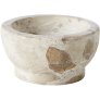 Seashell Natur