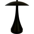 Akku-Tischleuchte LED H23,5 cm, Mattschwarz