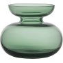 Moss Green