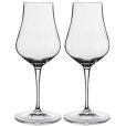 Spirituosen Glas 2er Set 17 cl