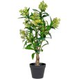 Künstliches Skimmiabaum H75 cm