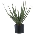 Künstliche Aloe-Vera-Pflanze H51 cm, Grün
