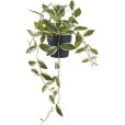 Künstliche Wachsblume H33 cm, Grün