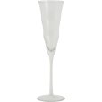 Champagnerglas 20 cl