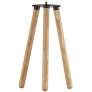 Holz