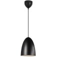 Pendelleuchtenleuchten &Oslash;20 cm