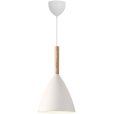 Pendelleuchten &Oslash;20 cm