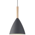Pendelleuchten &Oslash;20 cm