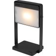 To-Go Solarleuchte LED H23,6 cm