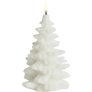 Nordic White