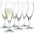 Champagnerglas 6er Set 23 cl