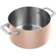 Induktion Pot 3,5 L/20 cm