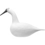 Schwan