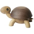 Schildkrötenkind Speedy 10,5 cm