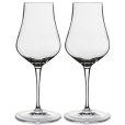 Spirituosen Glas 2er Set 17 cl