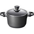 Topf mit Antihaft Beschichtung und Deckel 20 cm/3,25 L