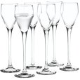 Schnapsglas 6er Set 5,5 cl