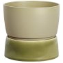 Artichoke Green