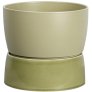 Artichoke Green
