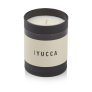 Yucca
