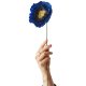 Papierblume Ice Poppy 44 cm, Blau