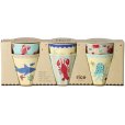 Tasse 6er Set 25 cl