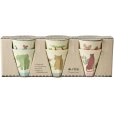 Tasse 6er Set 16 cl, Sweet Jungle